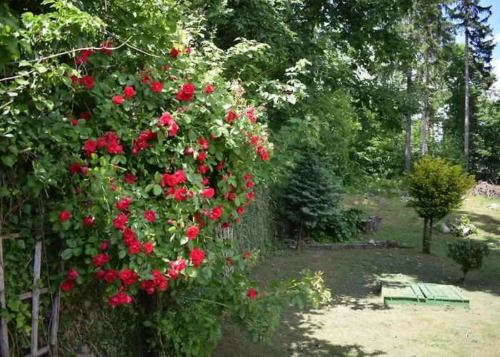 Zacisze Апартаменты *